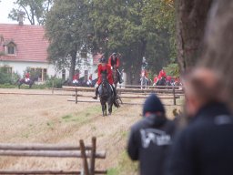 IMG_8343_web